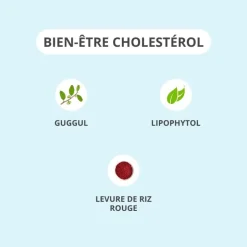 Activa bien-être cholesterol - boite de 30 gélules