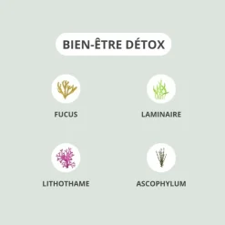Activa bien-être detox - boite de 30 gélules