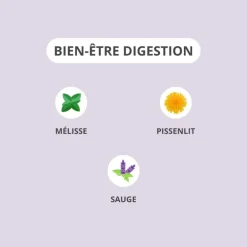 Activa bien-être digestion - boite de 30 gélules