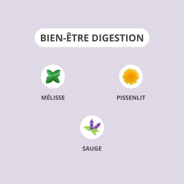 Activa bien-être digestion - boite de 30 gélules