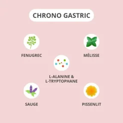 Activa Chrono Gastric - 15 gélules