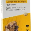 AdTab 56 mg chien 1,3-2,5 kg Elanco - boite de 3 comprimés à croquer