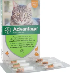 Advantage 40 pour chat et lapin moins de 4 kg Bayer
