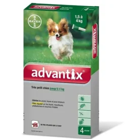 Advantix très petit chien jusqu'à 4 kg Bayer