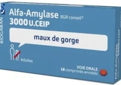 Alfa-amylase Biogaran – 18 comprimés