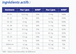 Alvityl vitalité 10 vitamines - boite de 60 gommes