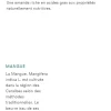 Après-shampoing cheveux secs à la mangue Klorane - tube de 50 ml