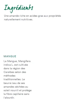 Après-shampoing cheveux secs à la mangue Klorane - tube de 50 ml