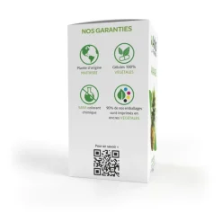 Arkogélules Ananas Arkopharma - boîte de 45 gélules