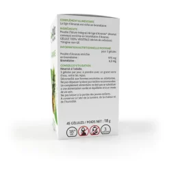 Arkogélules Ananas Arkopharma - boîte de 45 gélules