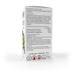 Arkogélules Artichaut bio Arkopharma - boîte de 40 gélules