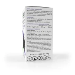 Arkogélules Charbon végétal bio Arkopharma