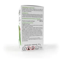 Arkogélules Nopal bio Arkopharma - boîte de 45 gélules