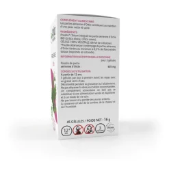 Arkogélules Ortie bio Arkopharma - boite de 45 gélules