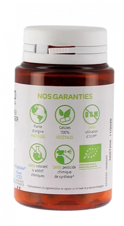 Arkogélules Rhodiole stress passager bio Arkopharma - boîte de 45 gélules