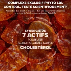 Arkostérol Expert contrôle du cholestérol Arkopharma - boîte de 30 gélules