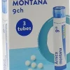 Arnica montana 9CH Boiron – granules, 3 tubes de 4 g