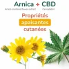 Arnican Massage CBD Crème de massage Cooper - tube de 60ml