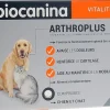 Arthroplus Biocanina – 40 comprimés
