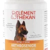 Arthrosenior Chien Clément-thékan - 60 comprimés