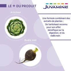 Artichaut Radis Noir Bien-être du foie Juvamine - boîte de 50 gélules