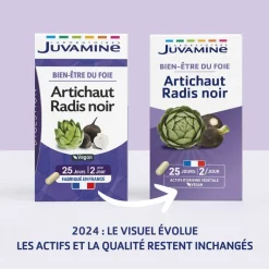 Artichaut Radis Noir Bien-être du foie Juvamine - boîte de 50 gélules