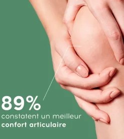 Artronat Lescuyer – 90 comprimés