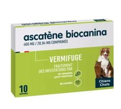 Ascatène comprimés chien et chat Biocanina – 10 comprimés sécables