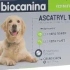 Ascatryl Trio Vermifuge "Grand Chien" (+ de 17,5 kg) Biocanina- boîte de 2 comprimés