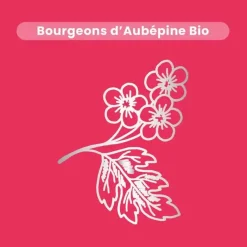 Aubépine bio Santarome - flacon de 30ml