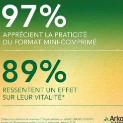 Azinc energy pocket Arkopharma - boîte de 60 mini-comprimés à croquer