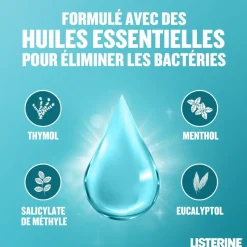 Bain de bouche quotidien fraîcheur intense Listerine - flacon de 500ml