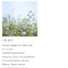 Baume après-shampooing au lin bio Klorane - tube de 200ml