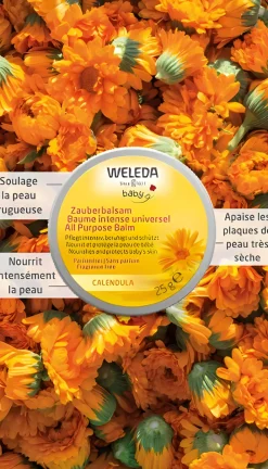 Baume intense universel Calendula Weleda baby - pot de 25g