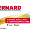 Baume Saint Bernard – crème, tube 100 g