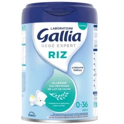 Bébé expert Riz Lait en poudre 0-36 mois Gallia - pot de 800g