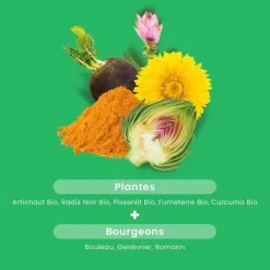 Bien-être du foie hépatonic Bio Santarome