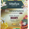 Bio résistance vitalité & immunité 2en1 Vitaflor - boite de 10 ampoules de 10ml