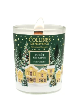 Bougie parfumée Forêt de sapin Collines de Provence
