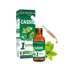 1 bourgeon BIO et frais cassis Santarome - flacon de 30 ml