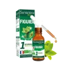 1 bourgeon BIO et frais Figuier Santarome - flacon de 30 ml