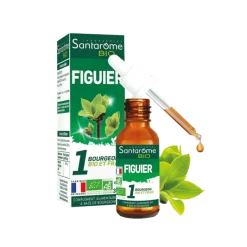 1 bourgeon BIO et frais Figuier Santarome - flacon de 30 ml