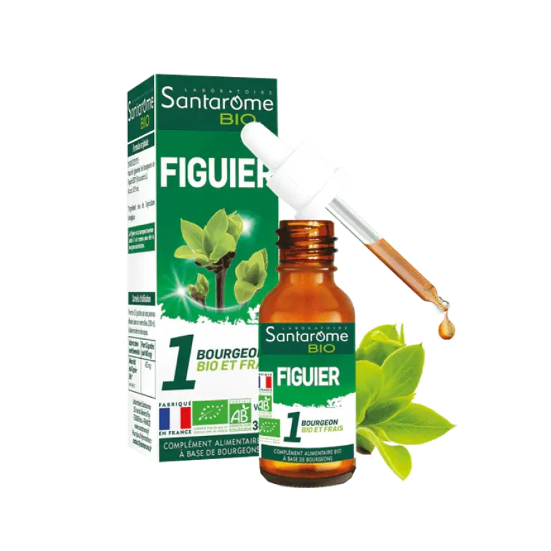 1 bourgeon BIO et frais Figuier Santarome - flacon de 30 ml