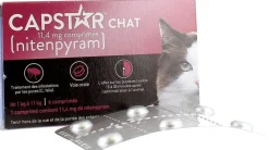 Capstar chat 11,4 mg nitenpyram – 6 comprimés
