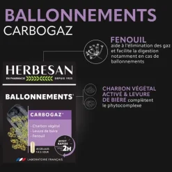 Carbogaz ballonnements Herbesan - boite de 45 gélules