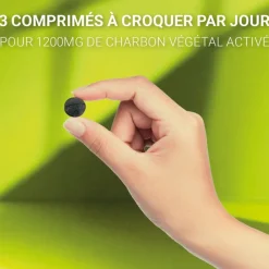 Carbophos 1200mg charbon végétal activé - boite de 40 comprimés à croquer