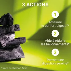 Carbophos 1200mg charbon végétal activé - boite de 40 comprimés à croquer