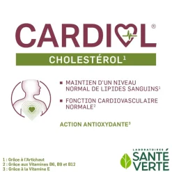 Cardiol Cholestérol Santé Verte - boîte de 90 gélules dont 1 mois offert