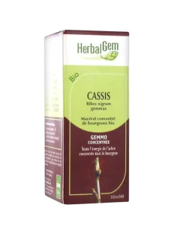 Cassis BIO Herbalgem - flacon de 30 ml