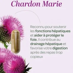 Chardon marie bio Super Diet - boite de 90 gélules